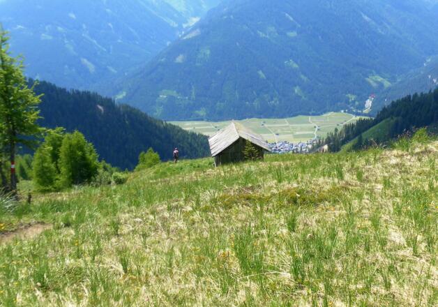 Almgelände oberhalb von Obertilliach