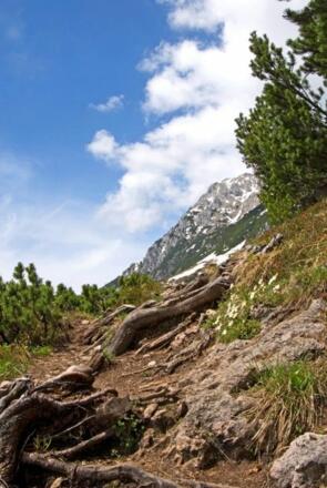 Scheffau_Jagersteig_Wilder Kaiser