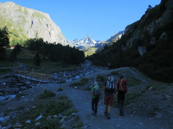 Links entlang der Forststraße oder gerade aus über den Steig zur Lucknerhütte aufsteigen.