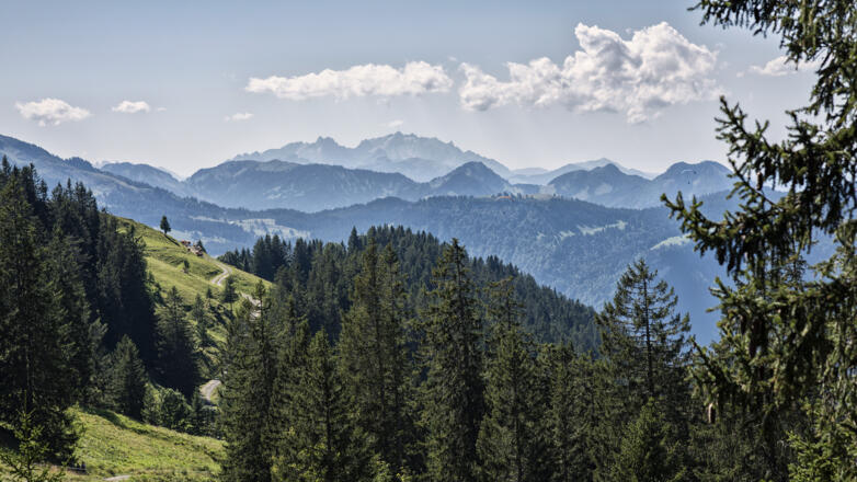Ausblick von der Niedere