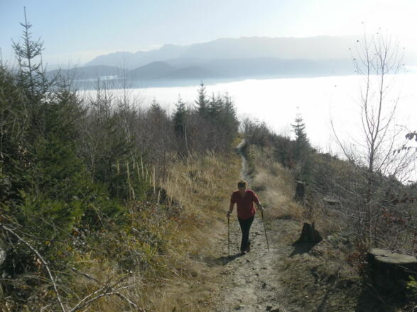 Tiefblick zum herbstlich vernebelten Attersee