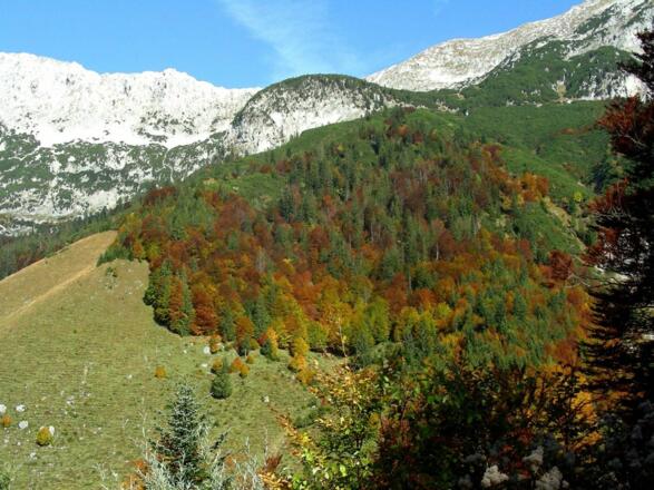 Sonnenstein (1.714m)