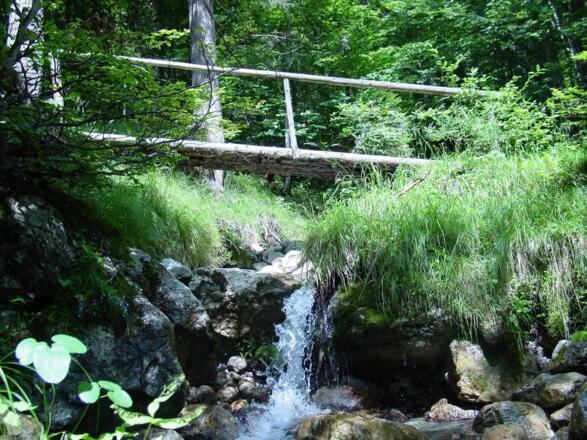 Scheffau_Rehbachklamm_Brücke_Wilder Kaiser