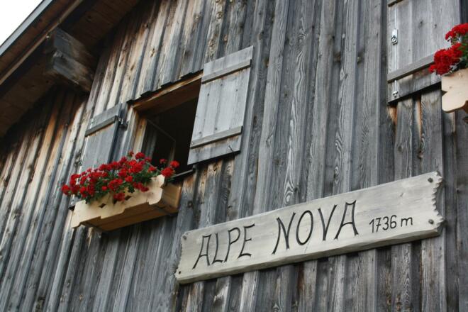 Alp Nova