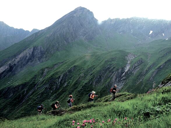 Wanderung zum Hacklsee