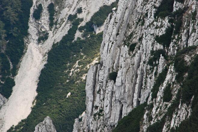 Detail aus der Seehagelmauer