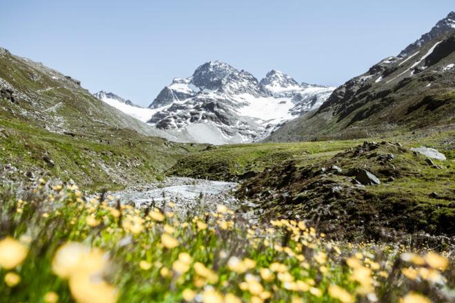 Ochsental mit dem Piz Buin