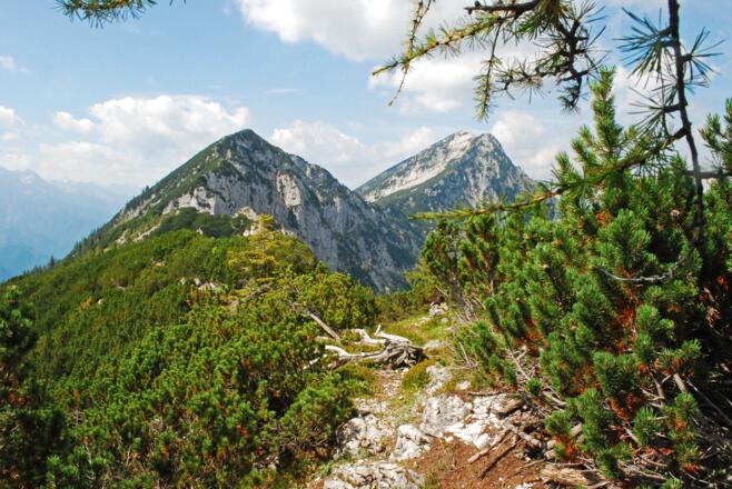 Blick zurück auf den Gamskogel und den Hochsengs