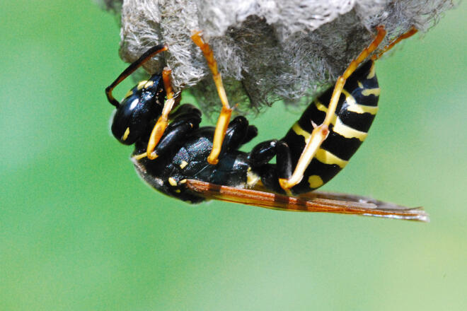 Im Nationalpark Kalkalpen