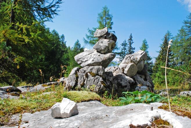 Im lichten Lärchenwald unterhalb des Uwe Anderle Biwaks