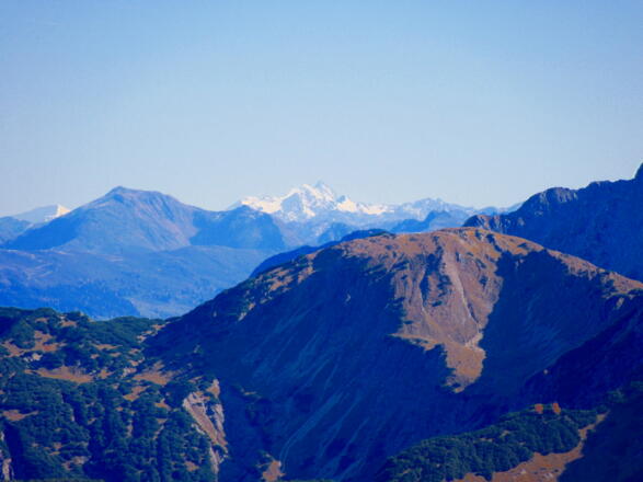 Blick zum Großglockner