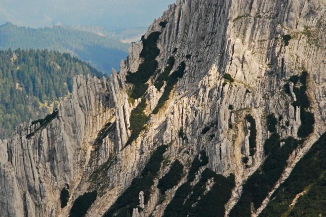 Blick vom Rohrauer Größtenberg auf Details aus der Seehagelmauer
