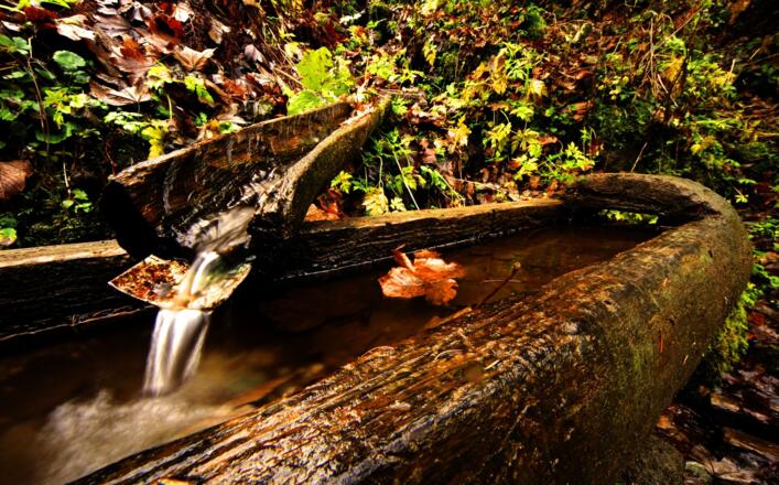 Brunnen Wildried Strecke