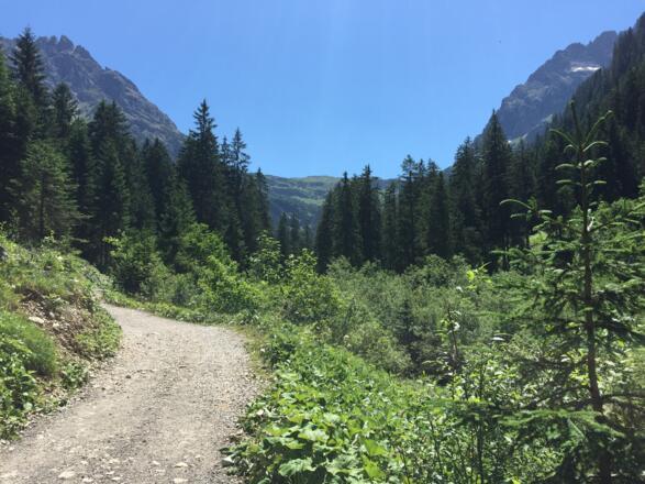 Hinein ins Gemsteltal