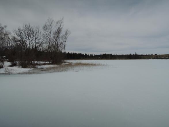 Der Bannwaldsee im Winter