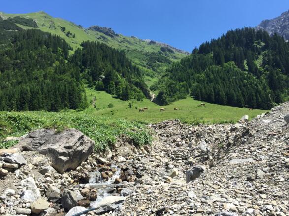 Zwischen Elfer und Zwölfer