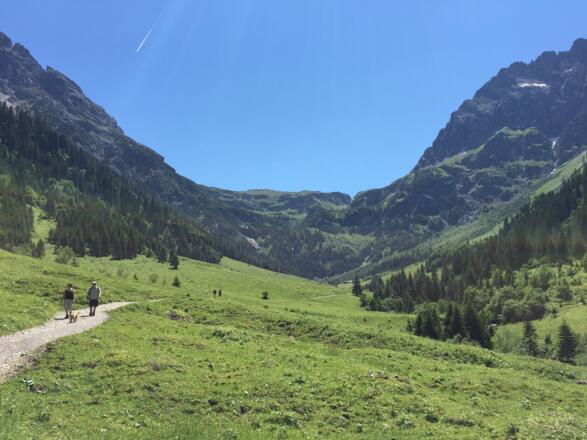 Bergpanorama mit Elfer und Kleinem Widderstein