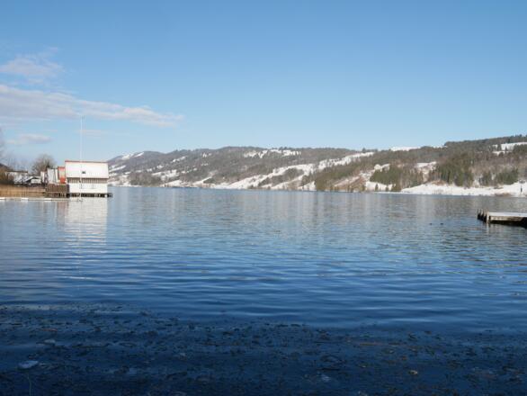 Im Winter am Großen Alpsee