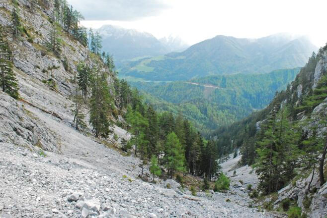 Die Abstiegsspur (links) im Taschengraben