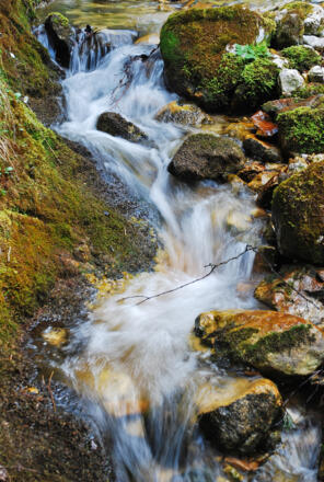 Der Bach im unteren Taschengraben
