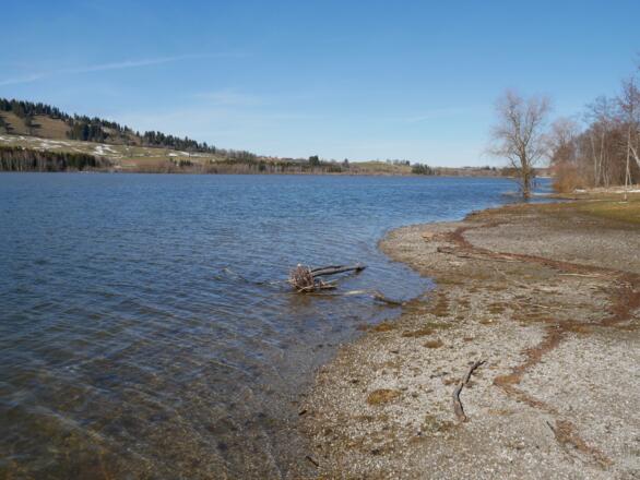 Am Ufer des Grüntensees im Oberallgäu