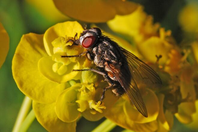 Im Nationalpark Kalkalpen
