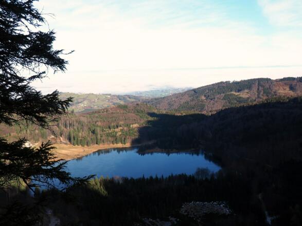 Hohe Scharte 1105m mit Laudachsee