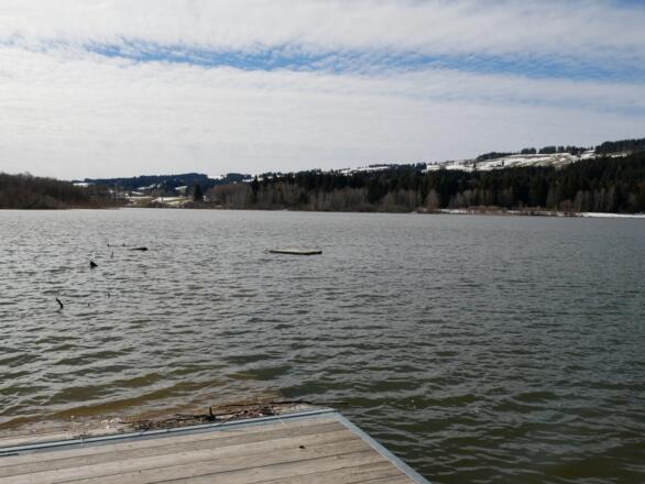 Weiten den Grüntensees