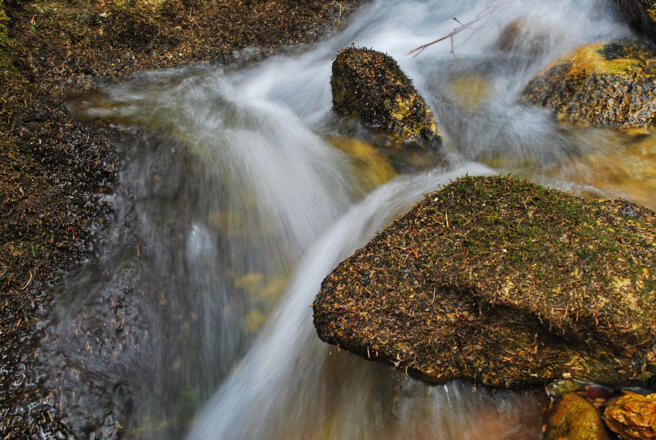 Der Bach im unteren Taschengraben