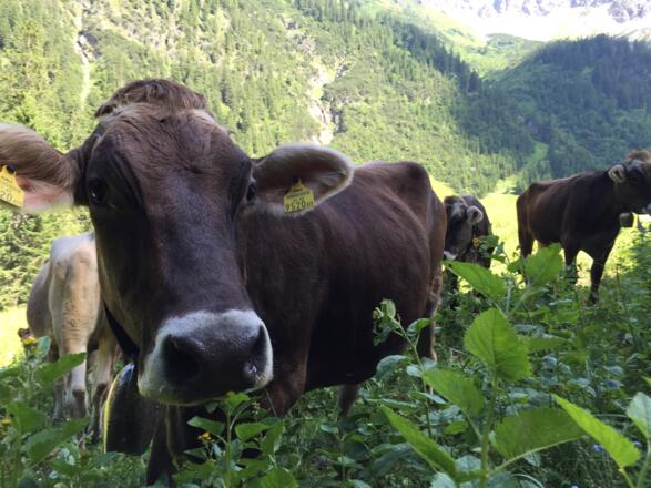 Neugierige Passanten