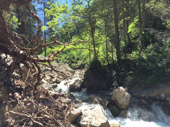 Wilder und naturbelassener Gemstelbach