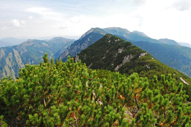 Blick vom Gamskogel nach Osten in Richtung Rohrauer Größtenberg und Hoher Nock