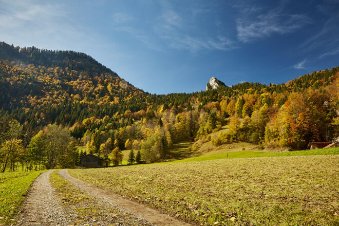 Blick zum Leonhardstein