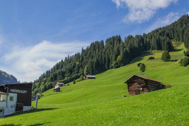 Haspelwald vom Maisässlift aus