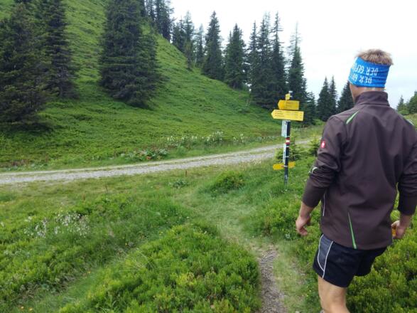Wir überqueren die Forststraße welche rechts nach Dienten führt und folgen dem Weg gerade aus