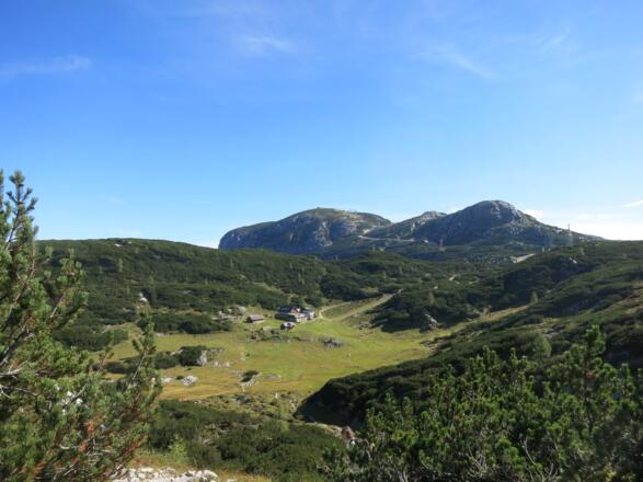 Gjaidalm und Krippenstein