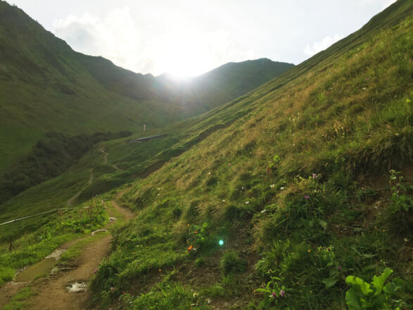 Mittlere Spitalalpe im Derratal