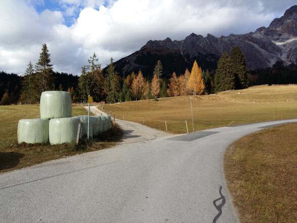 links abbiegen in Richtung Pichlalm