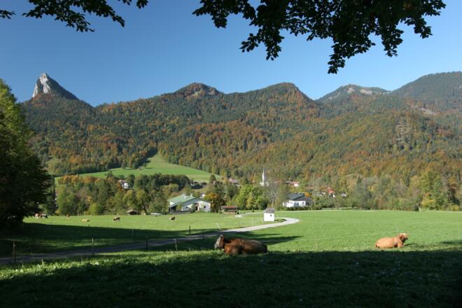 Kreuth - Riedlern mit Blick zum Leonhardstein