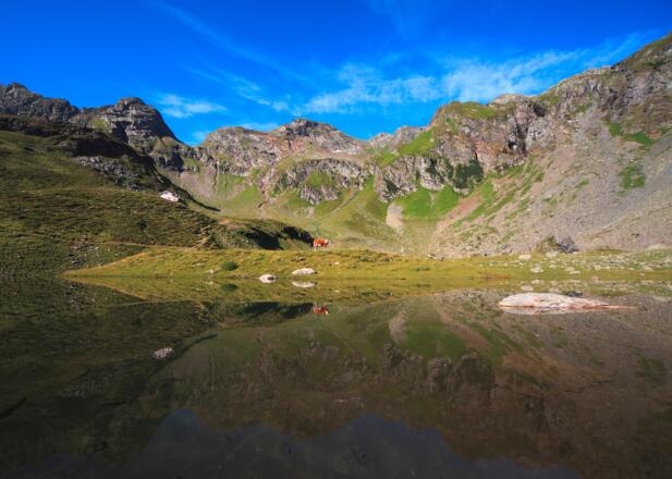 Almszenerie am Hüttensee unterhalb der Keinprechthütte