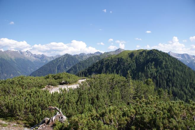 Blick von der Kleinen Wurzen Richtung Rossfeld