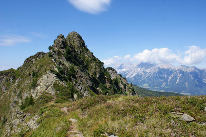 Blick vom Planai Höhenweg auf den Krahbergzinken im Sommer