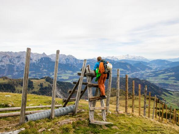 Über den Wildzaun klettern ist es nicht mehr weit bis zur Mitterfeldalm.