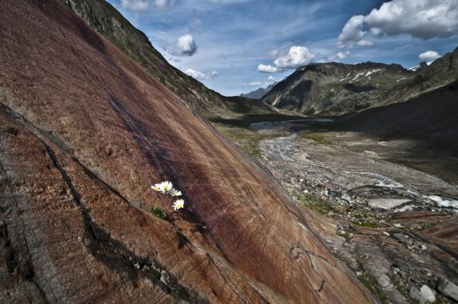 Gletscherschliff oberhalb der Sulzenau Hütte