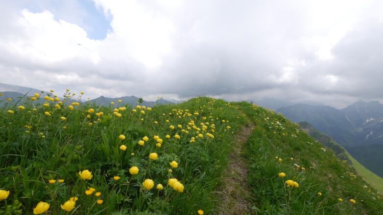 Hochstarzel (1974 m)