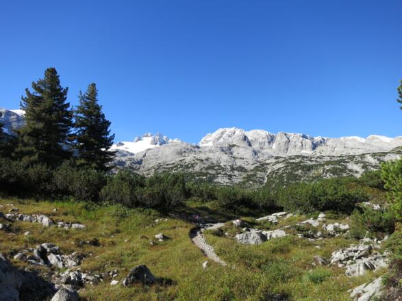 Blick zurück aus der Zirbengrube
