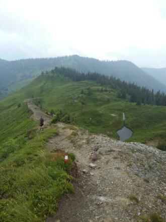 Weg vom St. Veitner Schneeberg in Richtung Gamskögerl