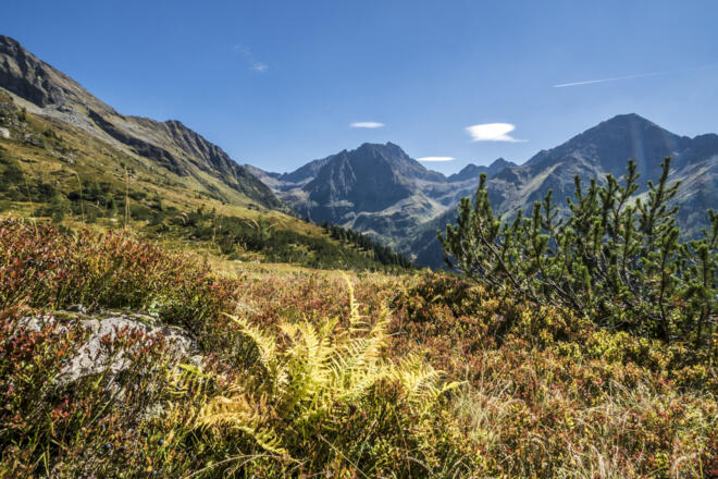 Wunderbare Herbststimmung am Planai Höhenweg mit Blick zum Waldhorn