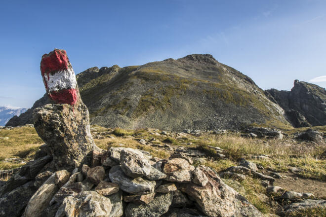 Am Greifenbergsattel - im Hintergrund der Greifenberg