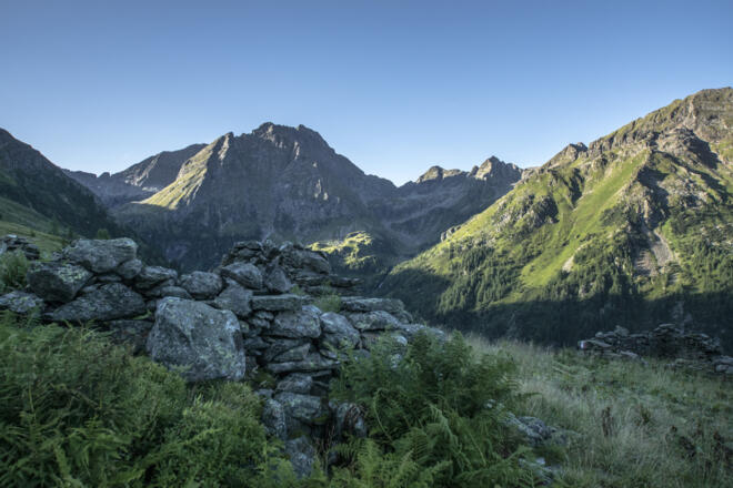 Blick von der Neualm zum Waldhorn im Morgenlicht